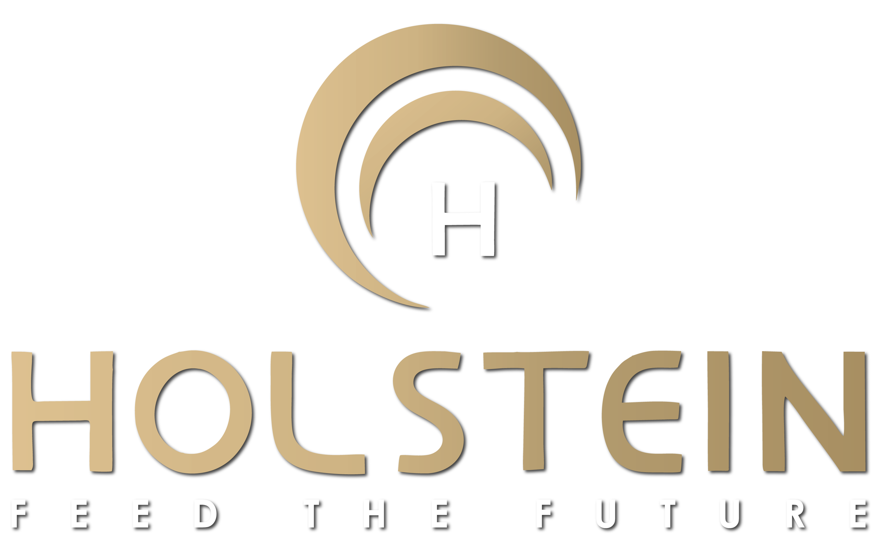 Holstein Logo