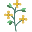 Mustard Icon
