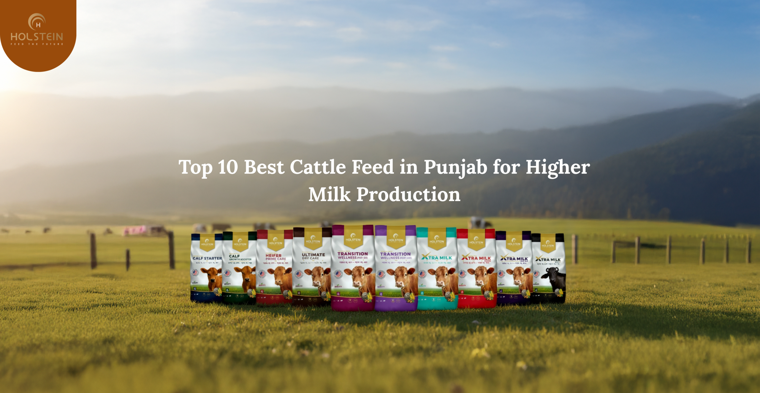 best cattle feed in Punjab