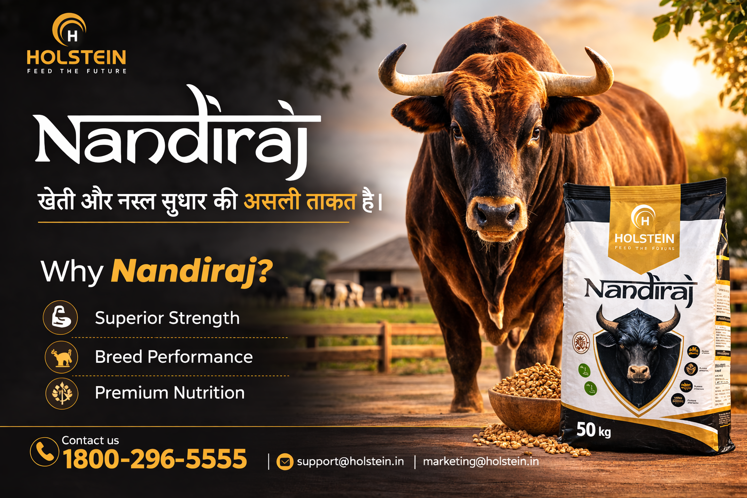 Best Bull Feed in Punjab