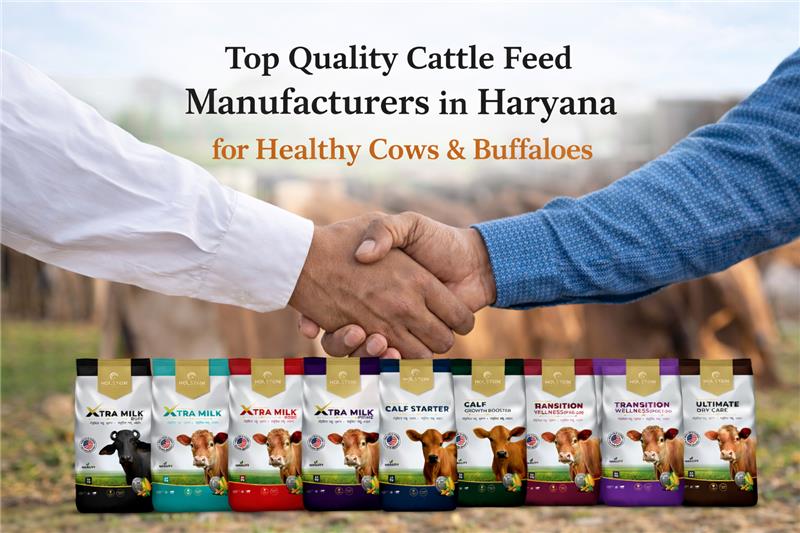 Top Quality Cattle Feed Manufacturers in Haryana for Healthy Cows & Buffaloes