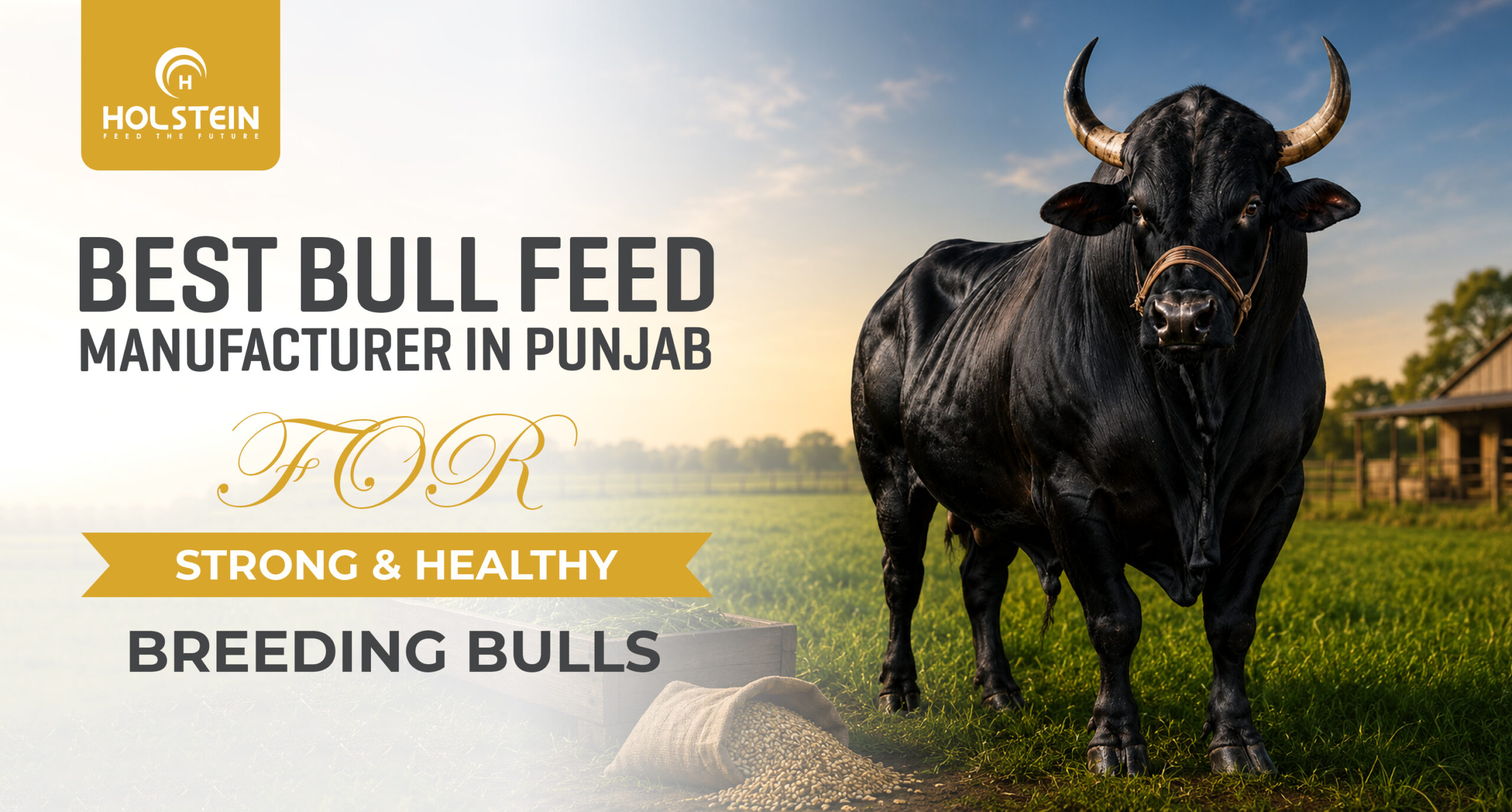 Best Bull Feed Manufacturer in Punjab