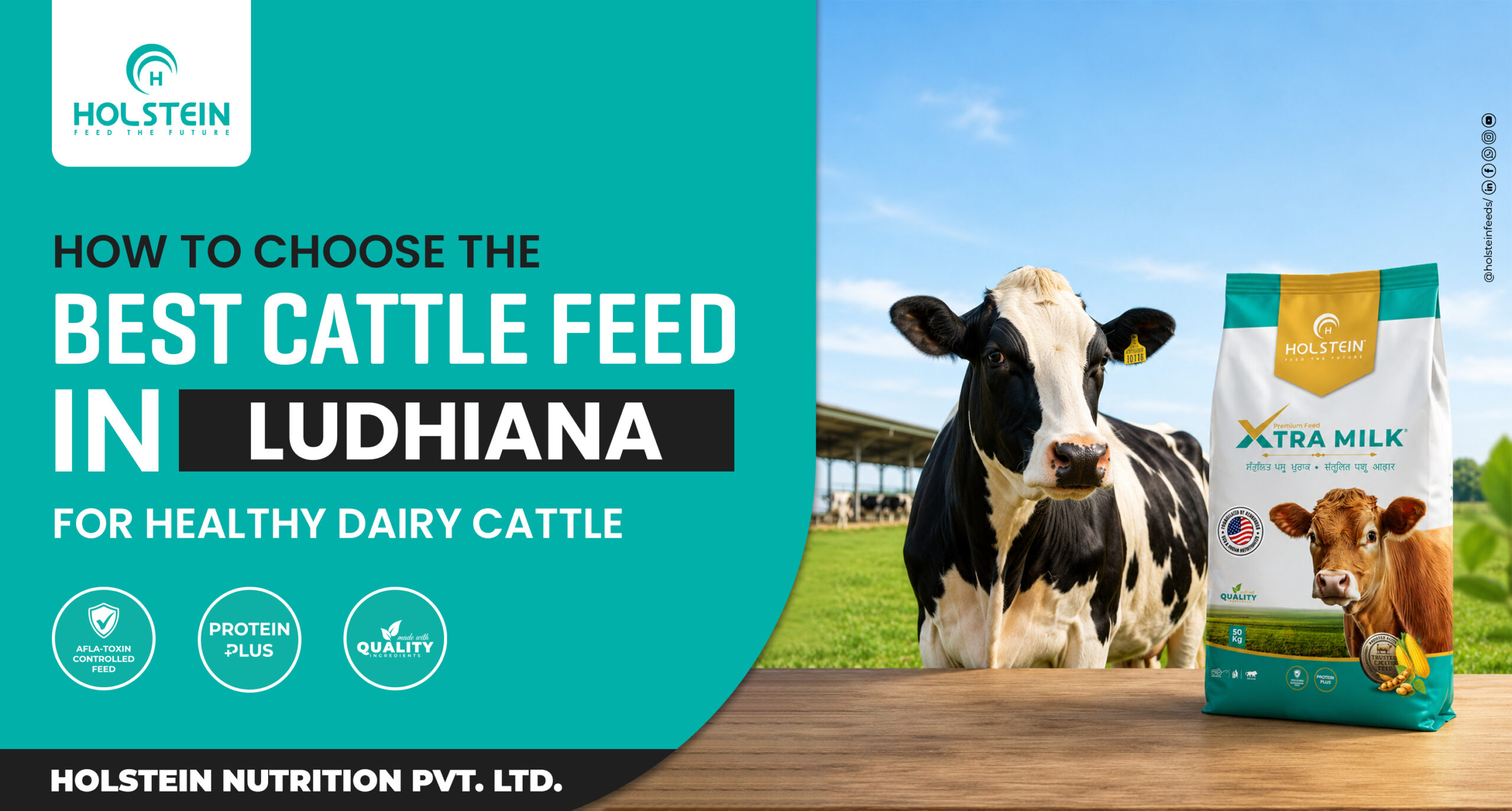 Best Cattle Feed in Ludhiana