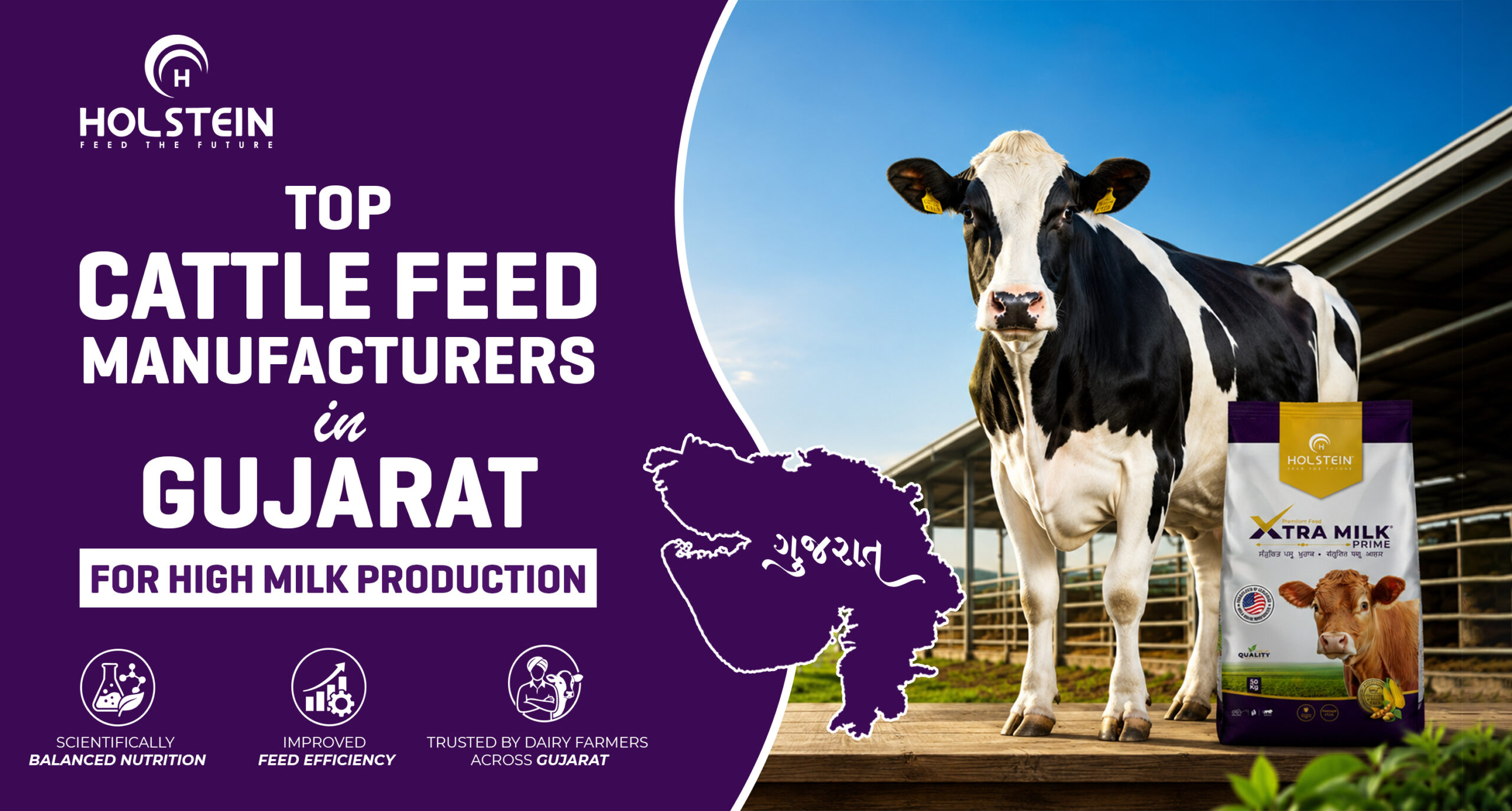 Top Cattle Feed Manufacturers in Gujarat