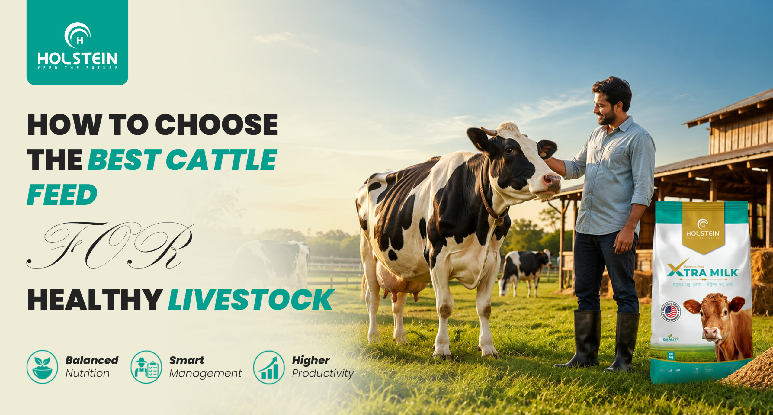 Best Cattle Feed